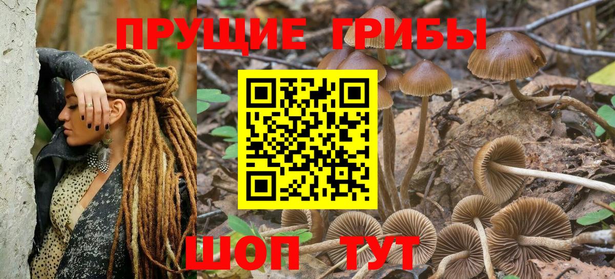 Псилоцибиновые грибы мухоморы  Вход с VPN  Кинешма 