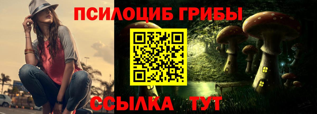 Галлюциногенные грибы прущие грибы Кинешма
