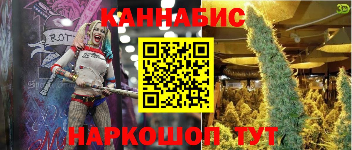 Бошки марихуана сатива  Канабис сатива  Канабис Bruce Banner  Вход с VPN  Кинешма 